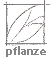 Pflanze